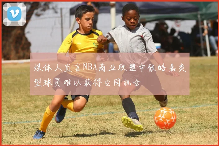 媒体人直言NBA商业联盟中张皓嘉类型球员难以获得合同机会